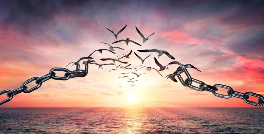 Unbind humanity from the architecture of control — the lattice of rules designed to shrink the human horizon.